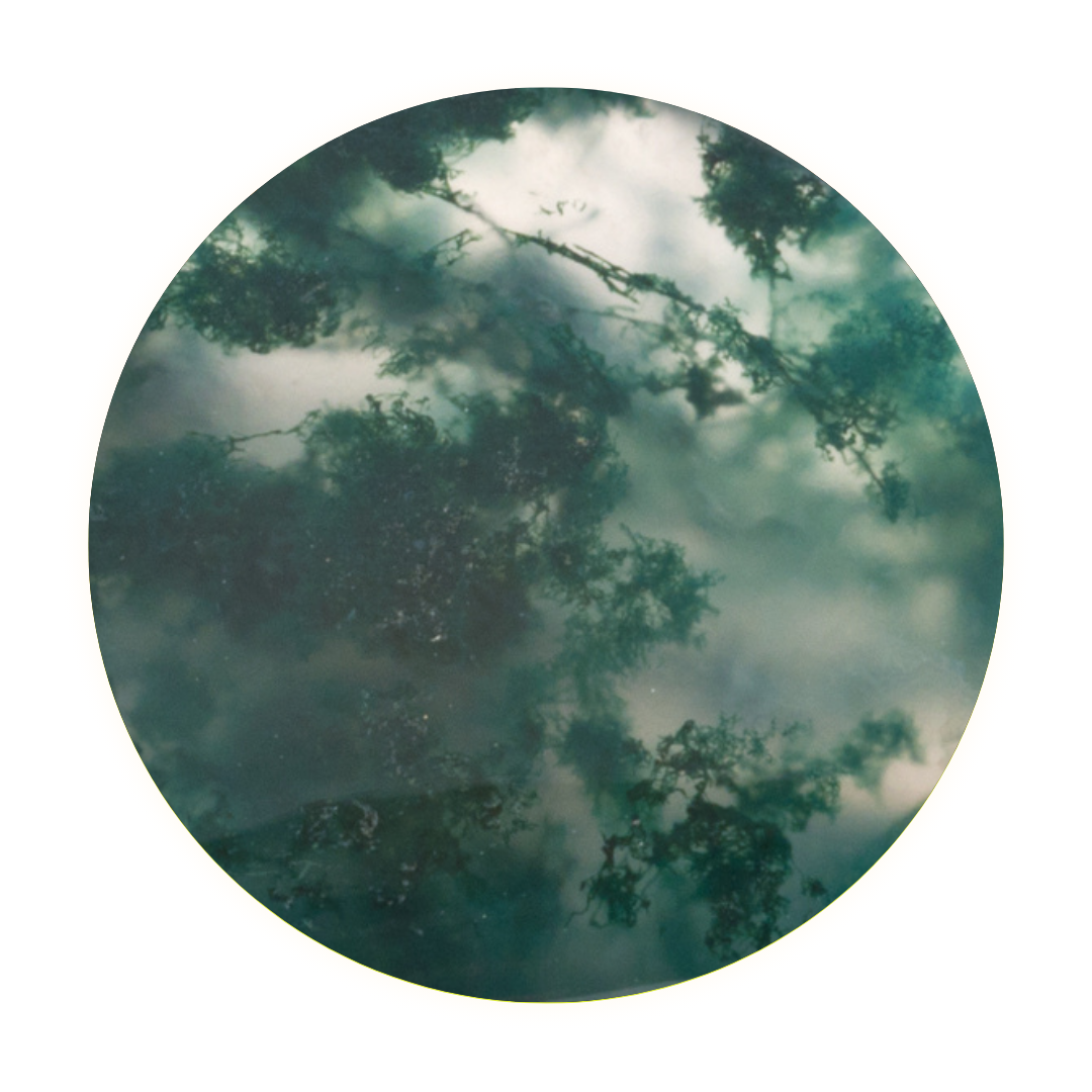 Moss Agate: A Journey into Peace and New Beginnings