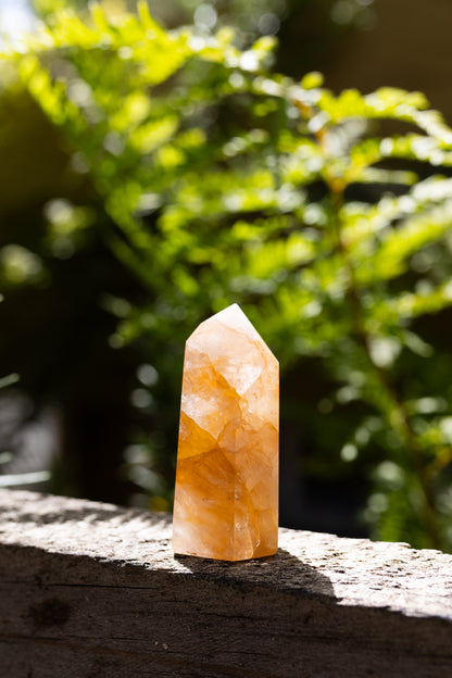 Golden Healer Crystal Point #6