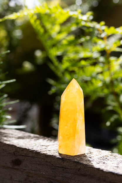 Golden Healer Crystal Point #7