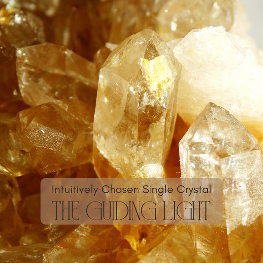 Crystal Connections: Intuitively Chosen Single Crystal “The Guiding Light”