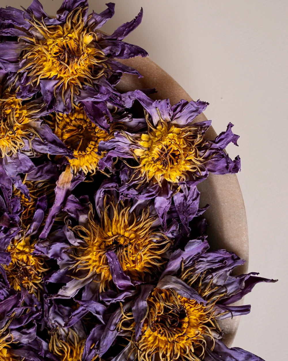 Organic Blue Lotus (Flowers) | Relaxation ✧ Awareness ✧ Meditation