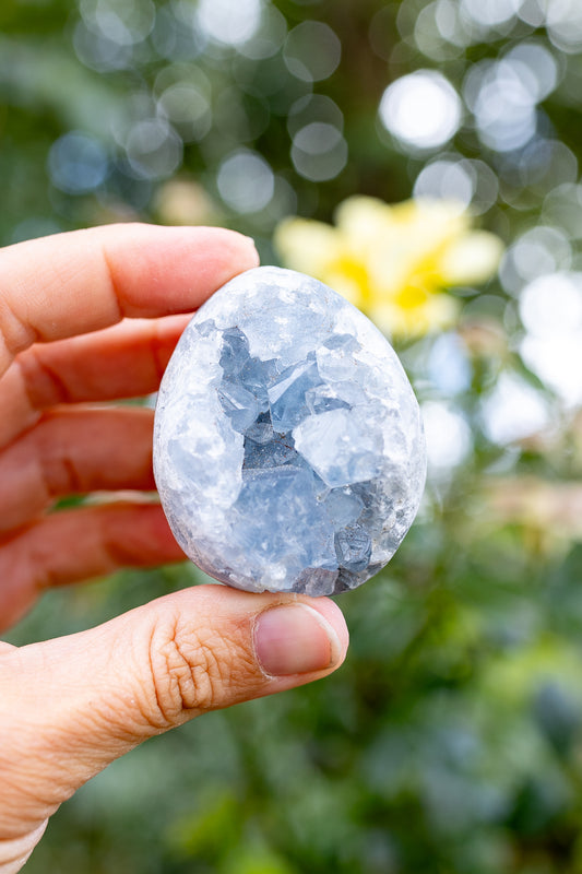 Celestite Cluster #11