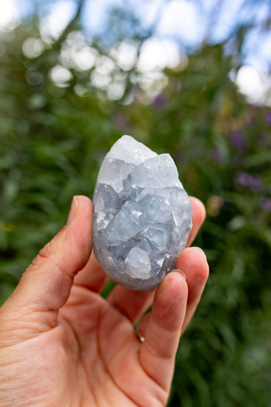 Celestite Cluster #13