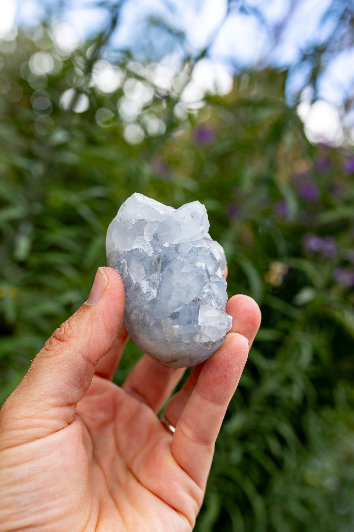 Celestite Cluster #13