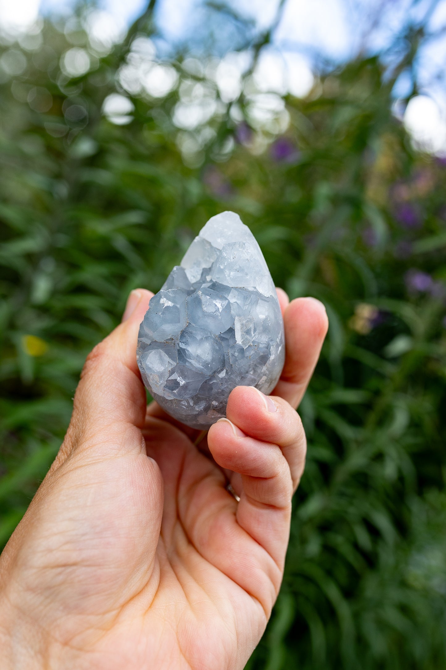 Celestite Cluster #13