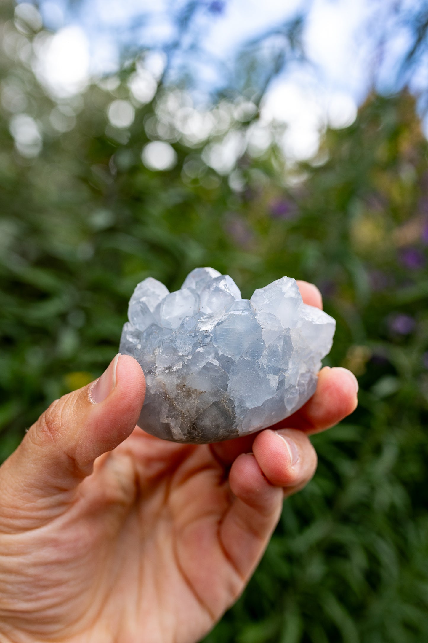 Celestite Cluster #13