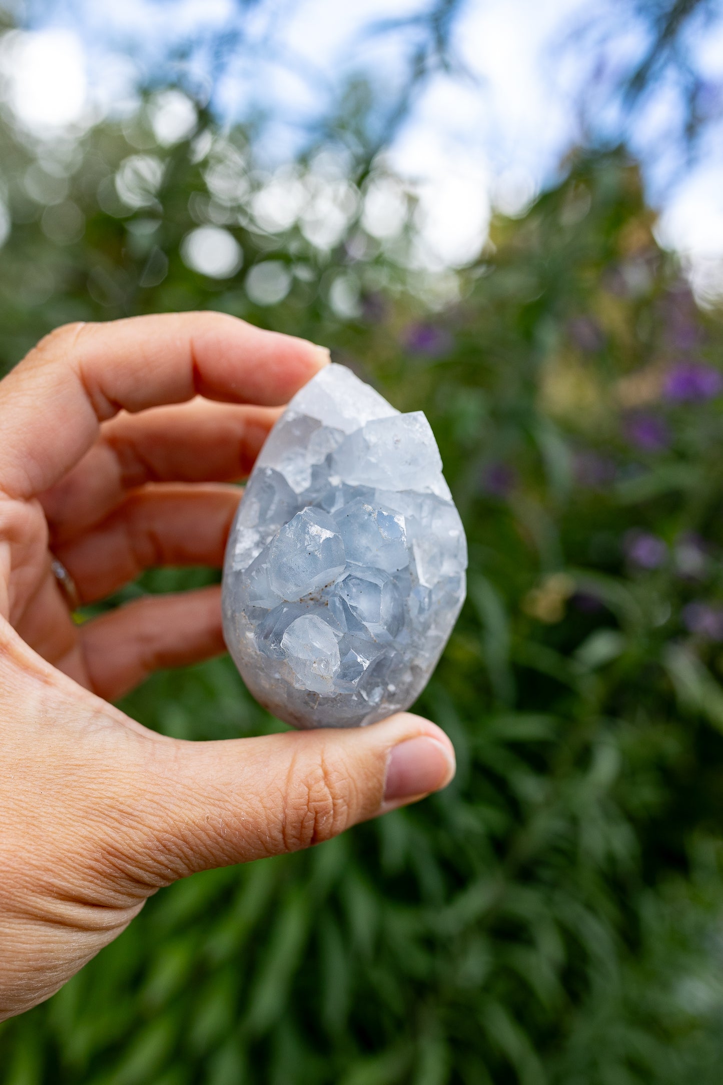 Celestite Cluster #13