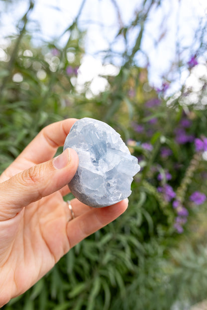 Celestite Cluster #14