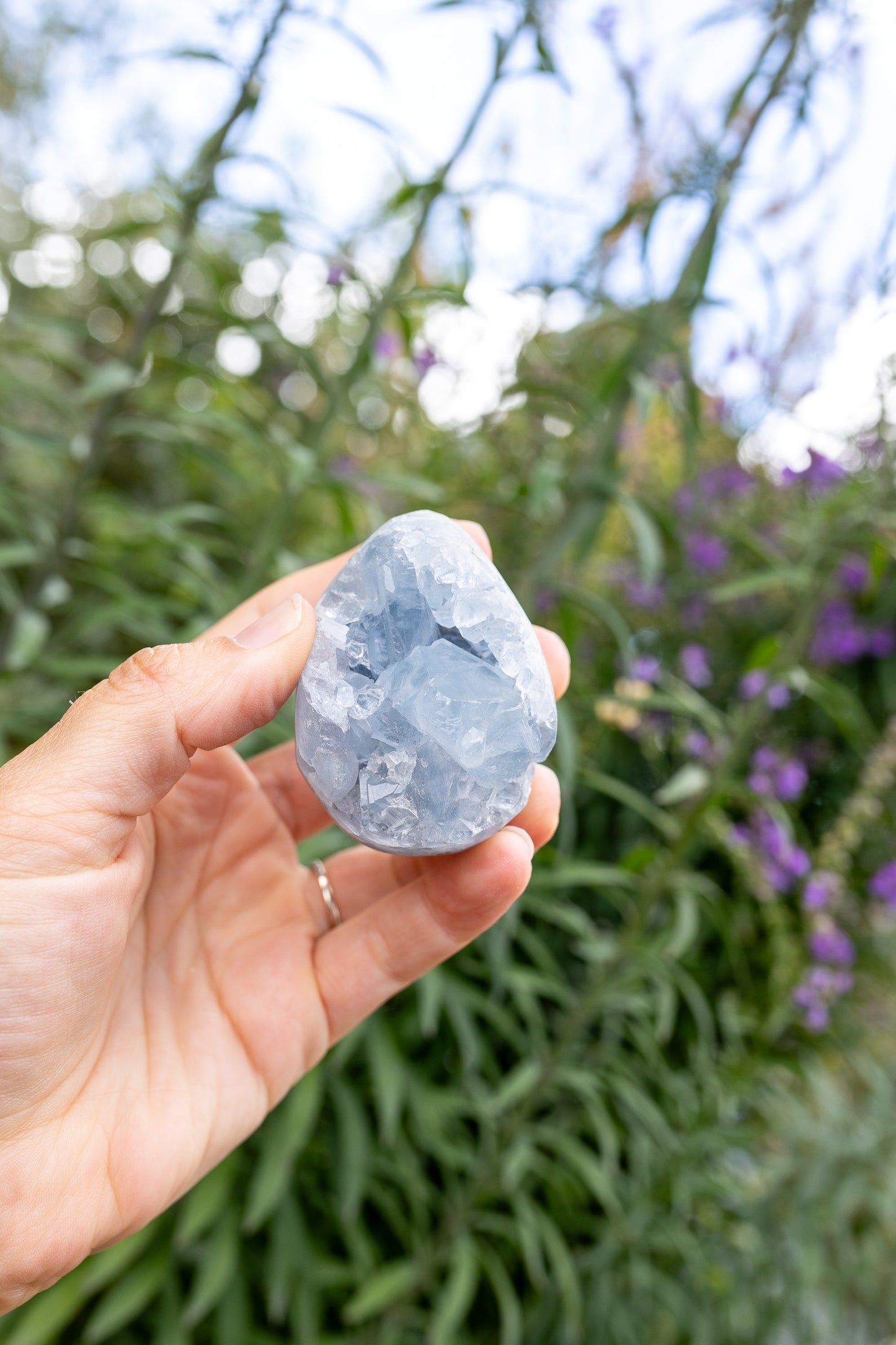 Celestite Cluster #14