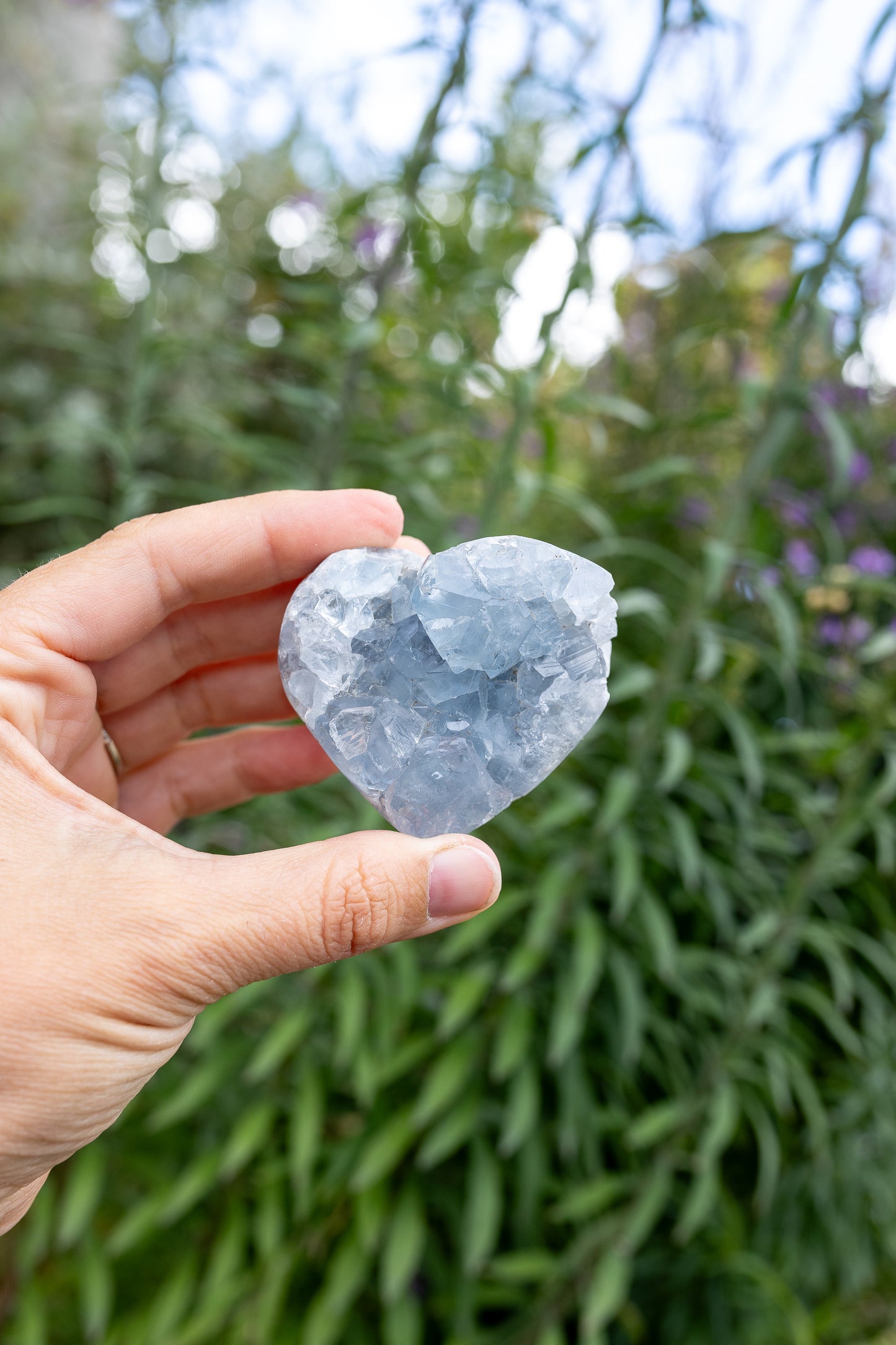 Celestite Cluster #15