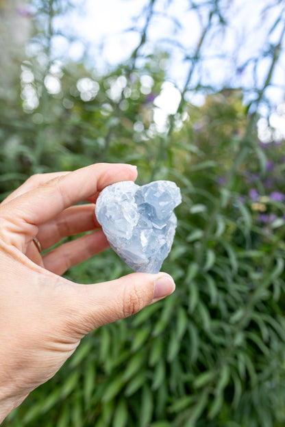 Celestite Cluster #15