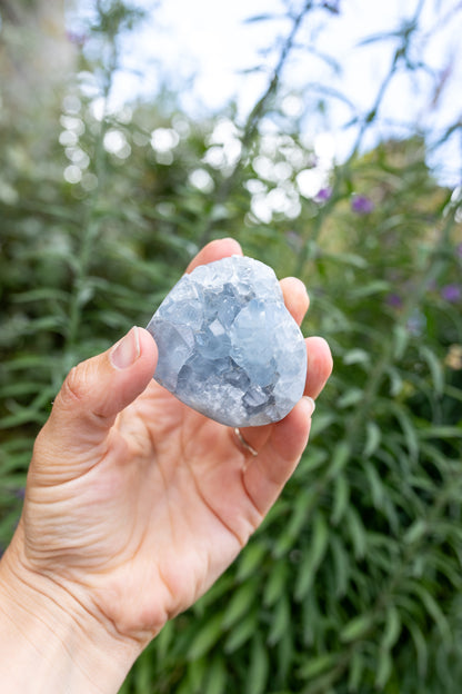 Celestite Cluster #15