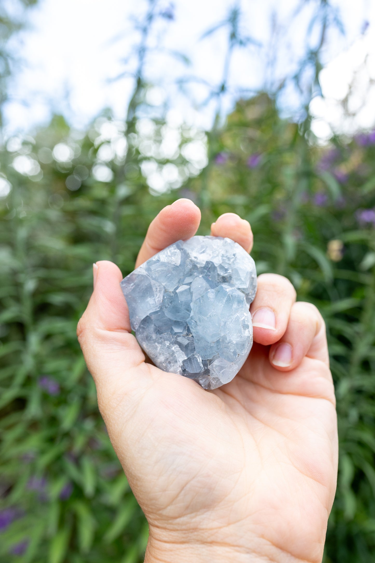 Celestite Cluster #15