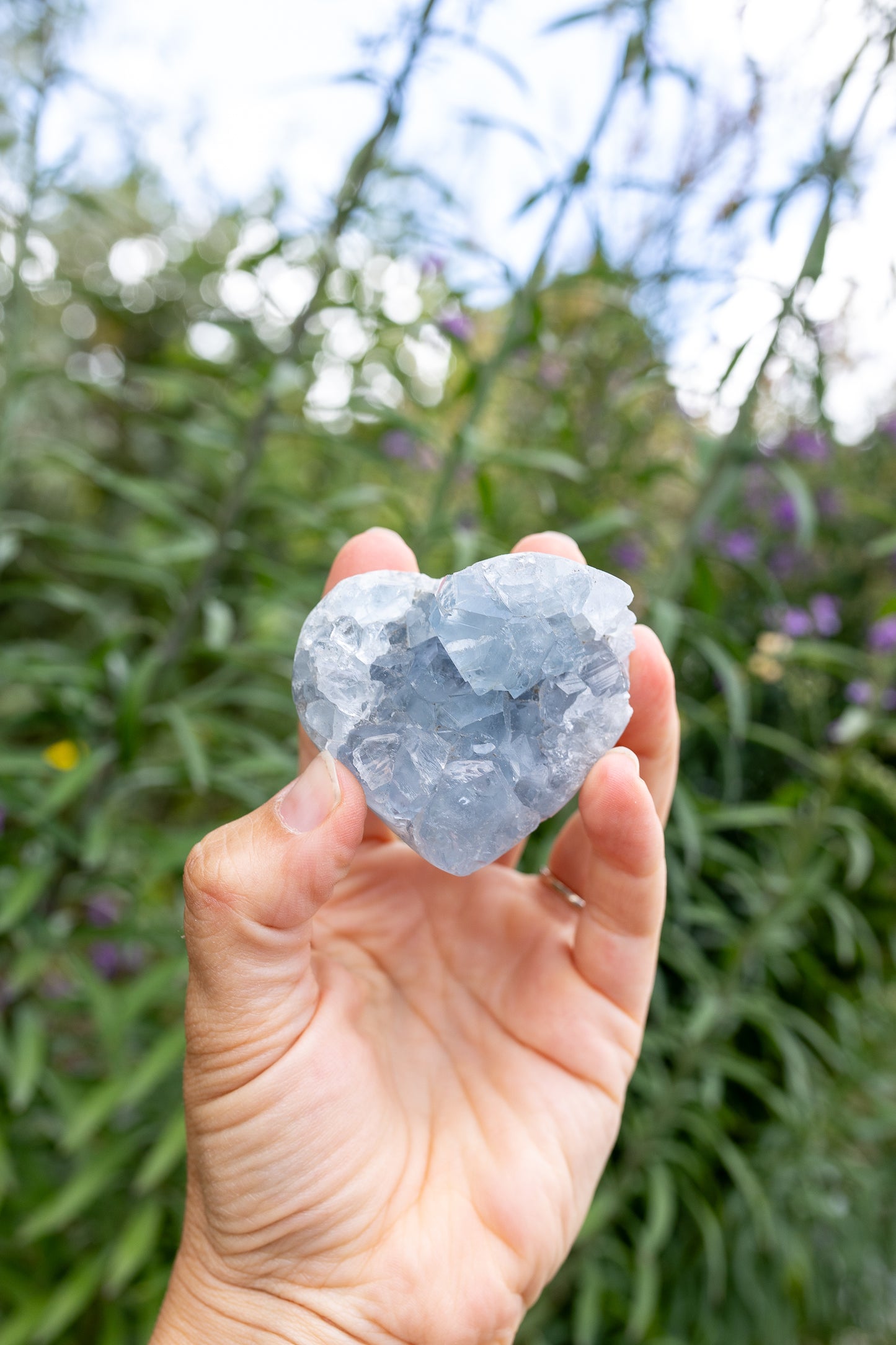 Celestite Cluster #15