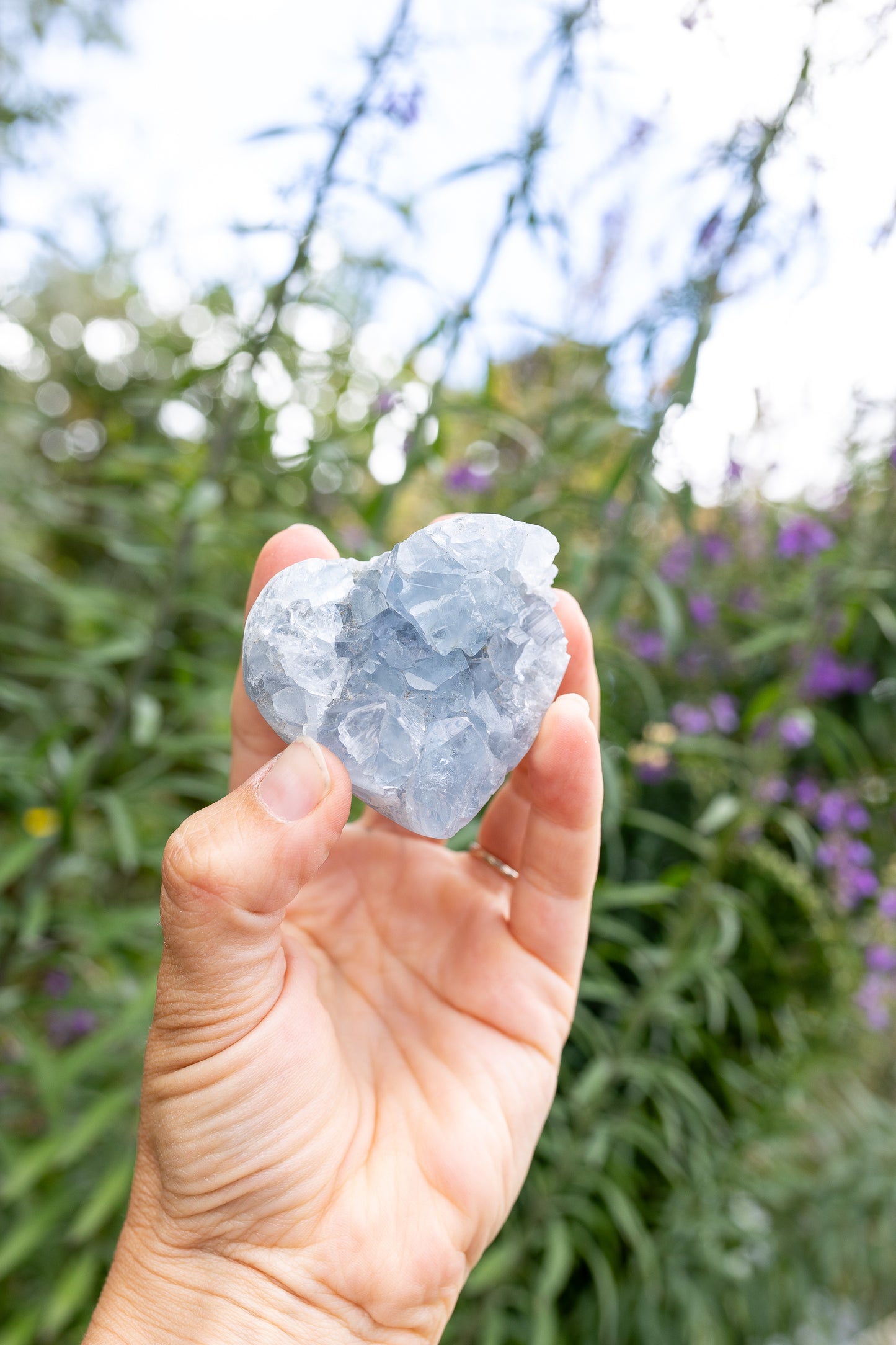 Celestite Cluster #15