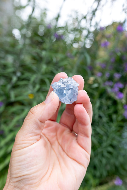 Celestite Cluster #16