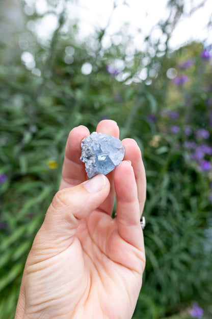 Celestite Cluster #16