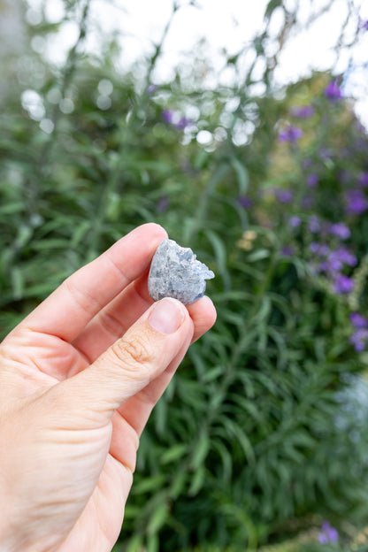 Celestite Cluster #16