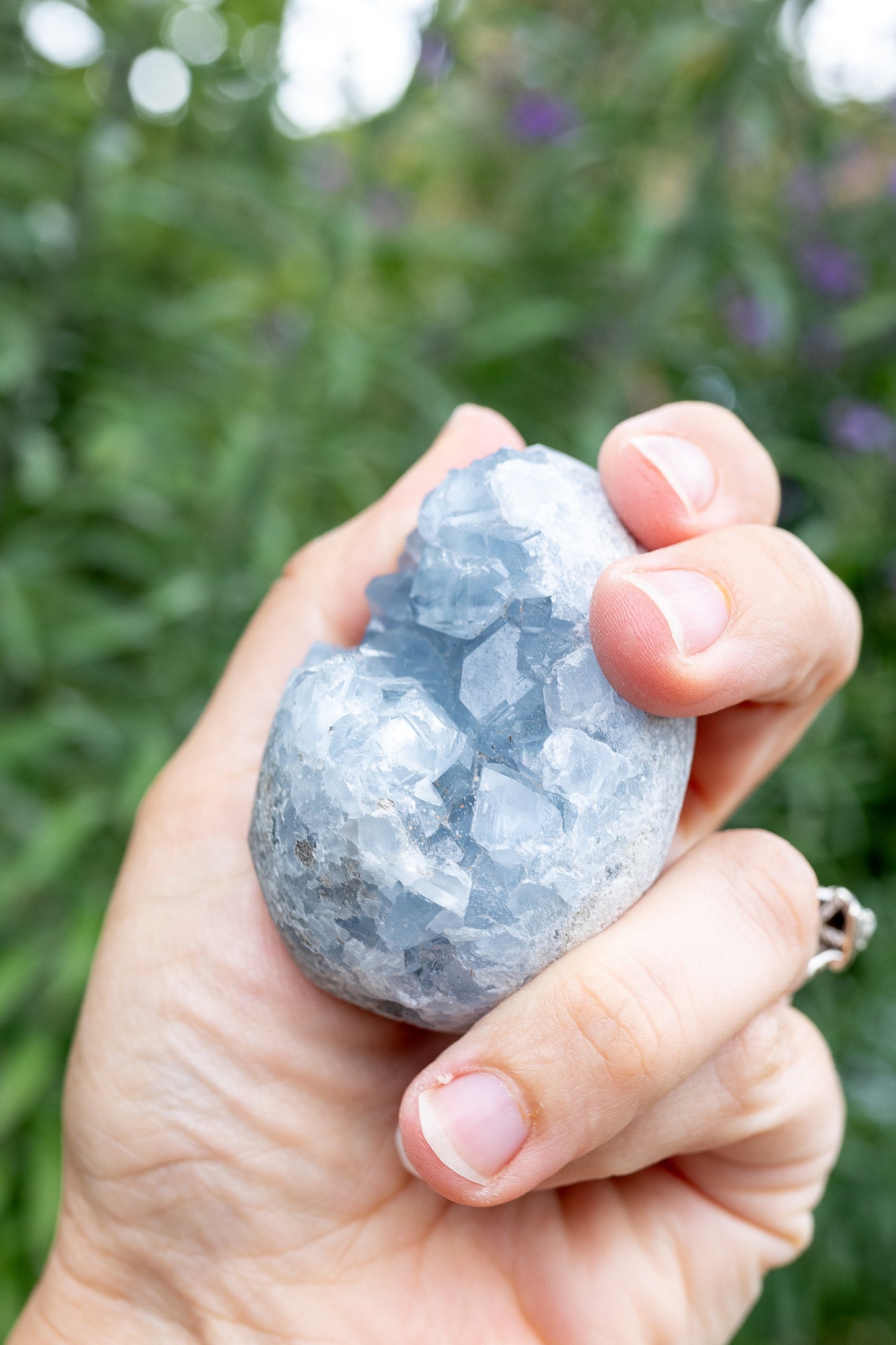 Celestite Cluster #18