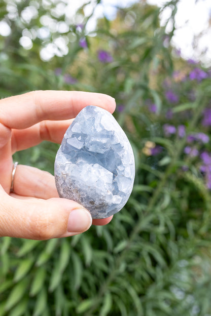 Celestite Cluster #18