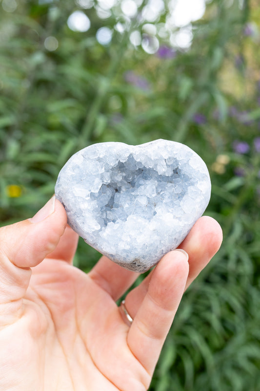 Celestite Cluster #19