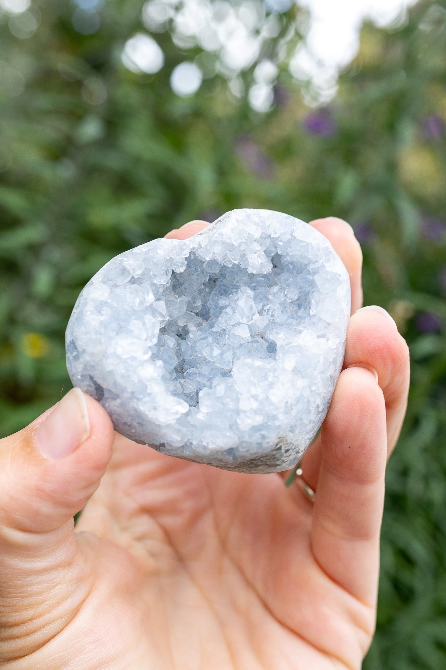 Celestite Cluster #19