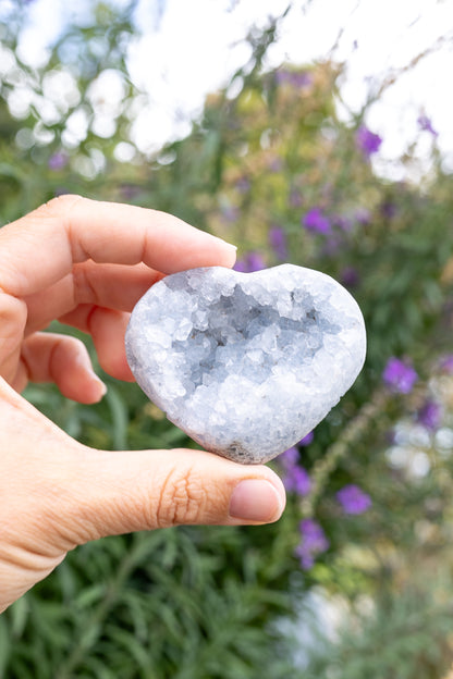 Celestite Cluster #19