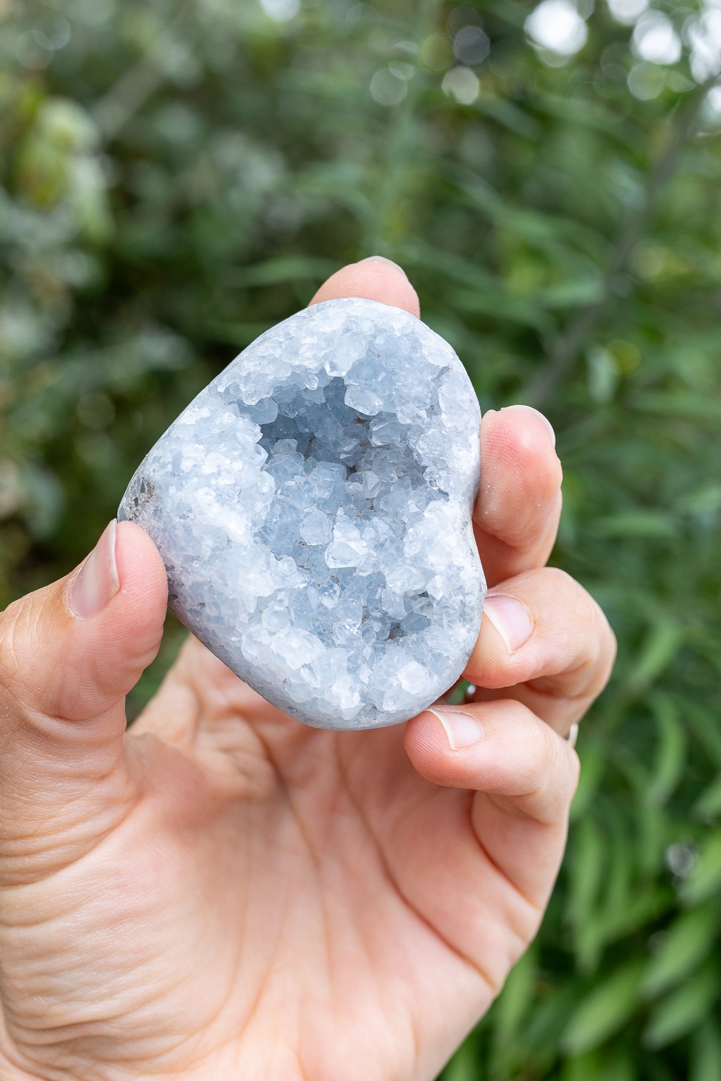 Celestite Cluster #19