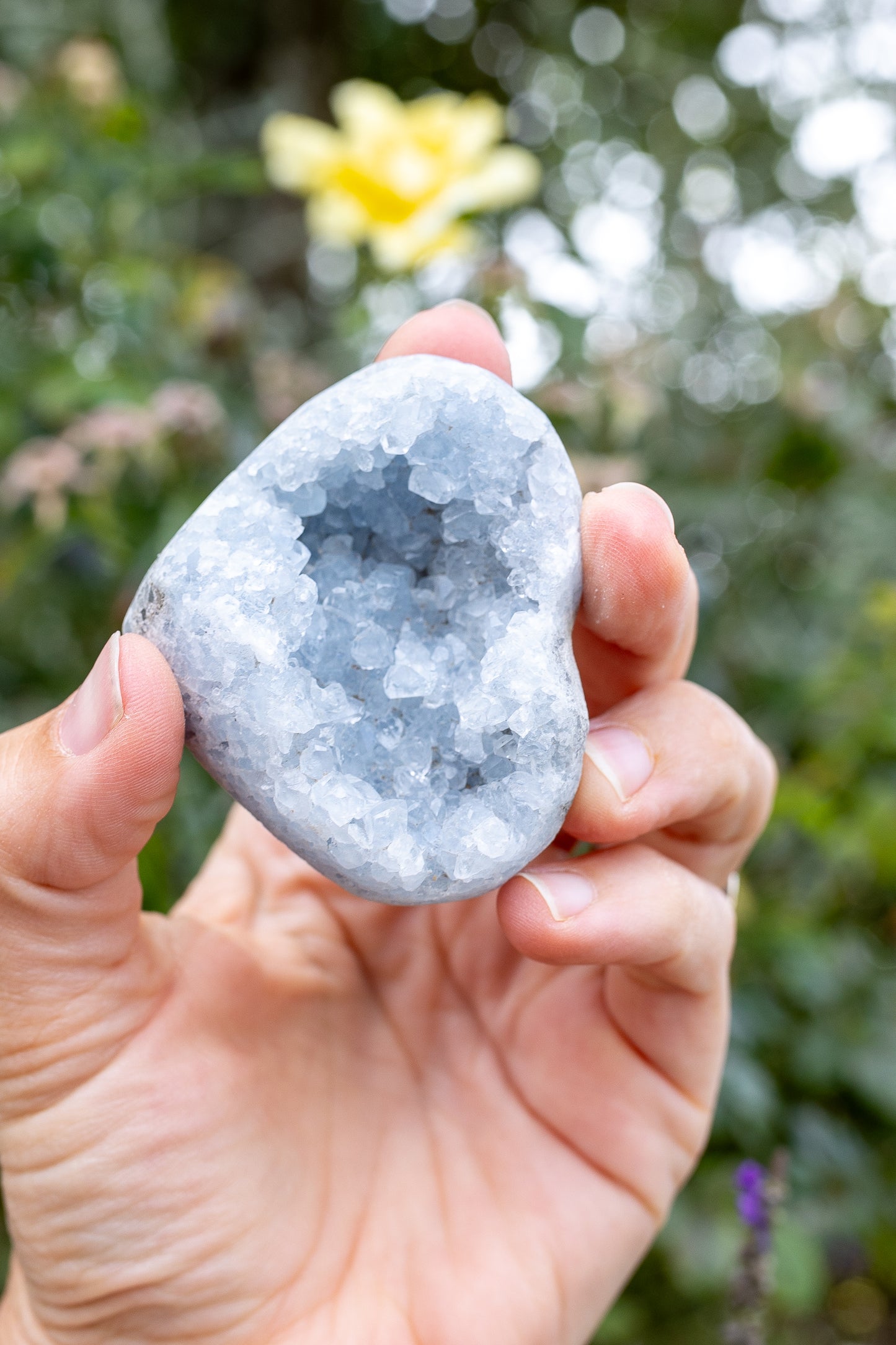 Celestite Cluster #19