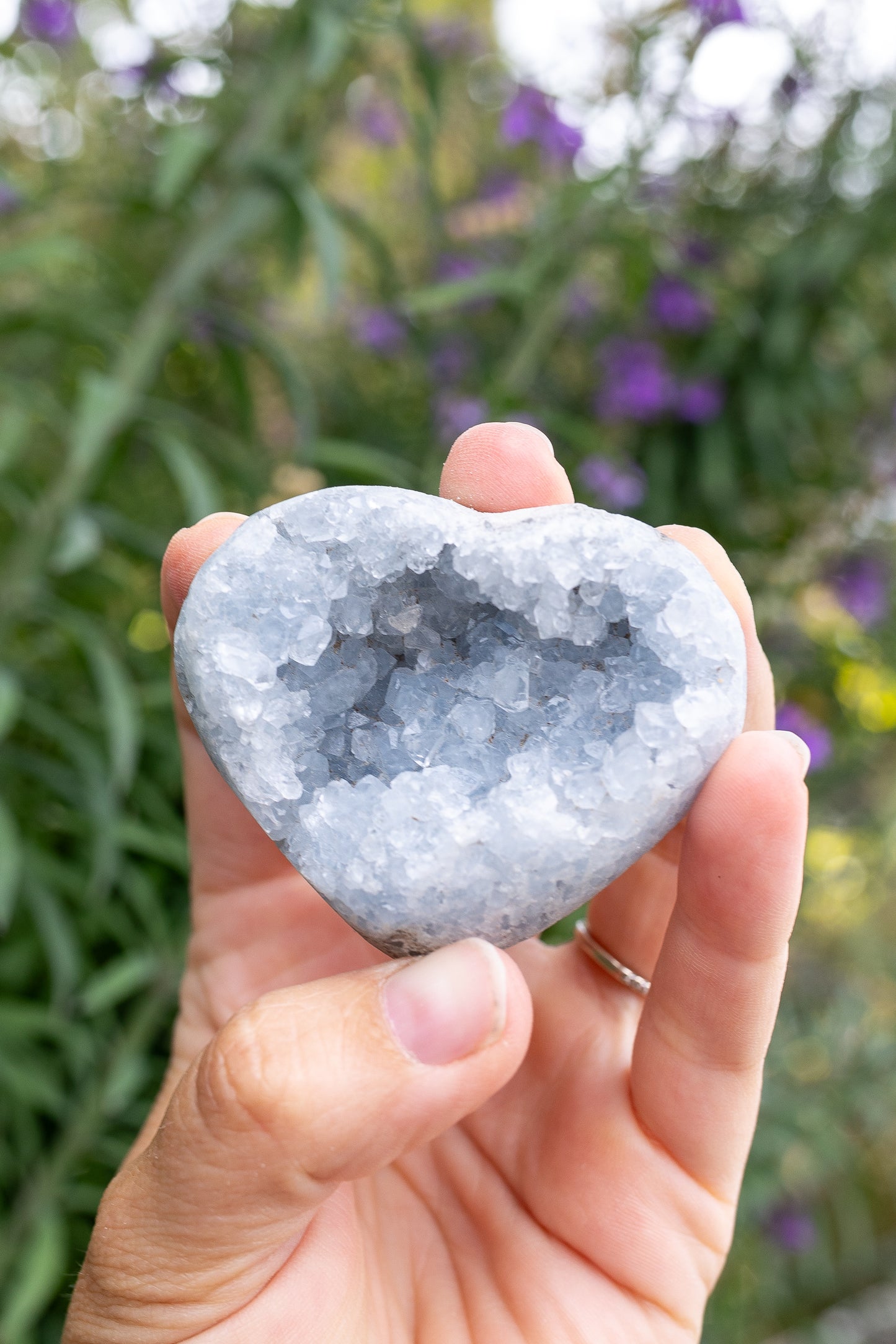 Celestite Cluster #19