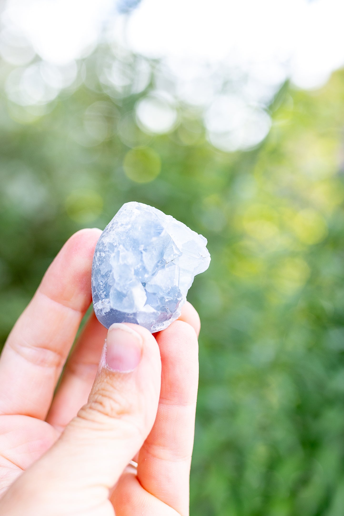 Celestite Cluster #4