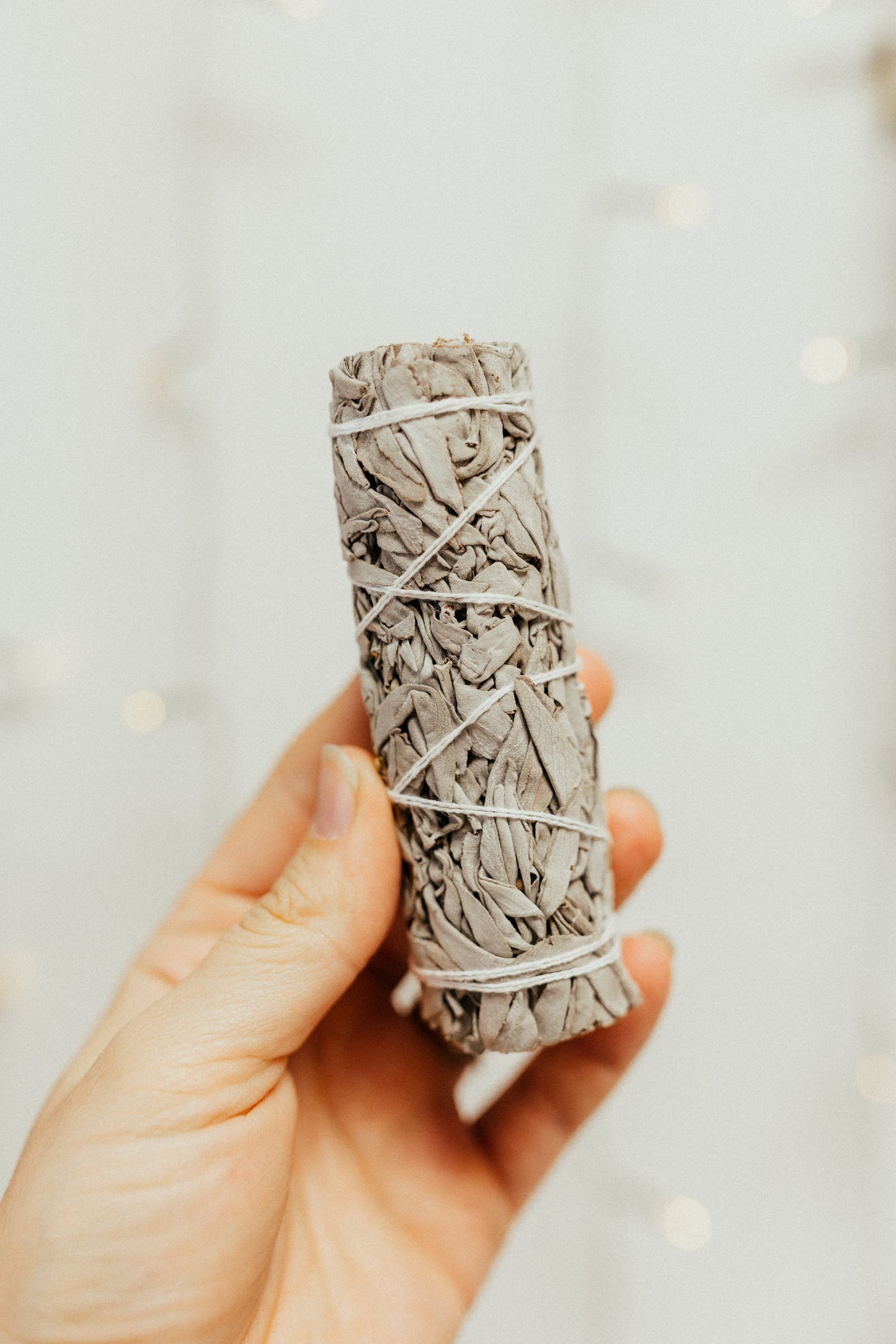 White Sage Smudge Bundle: Small