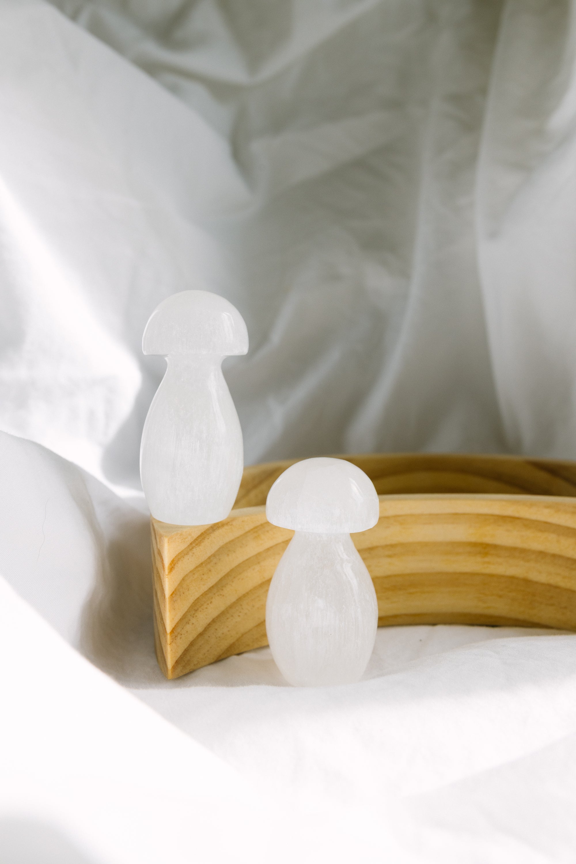 Selenite Crystal Mushroom | Purification · Light · Earth Connection