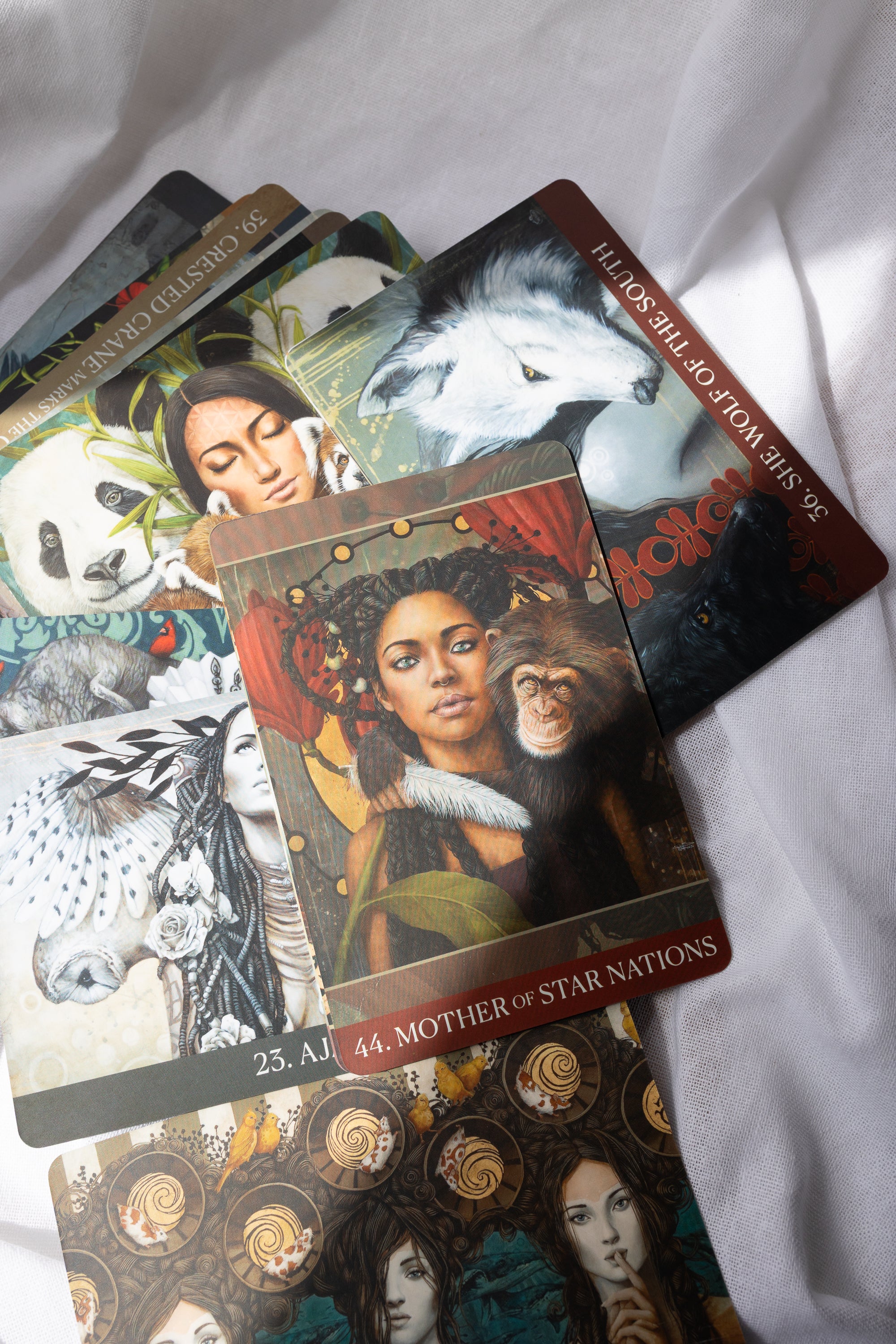 SECONDS - Medicine Heart Oracle - EX Shop Copy