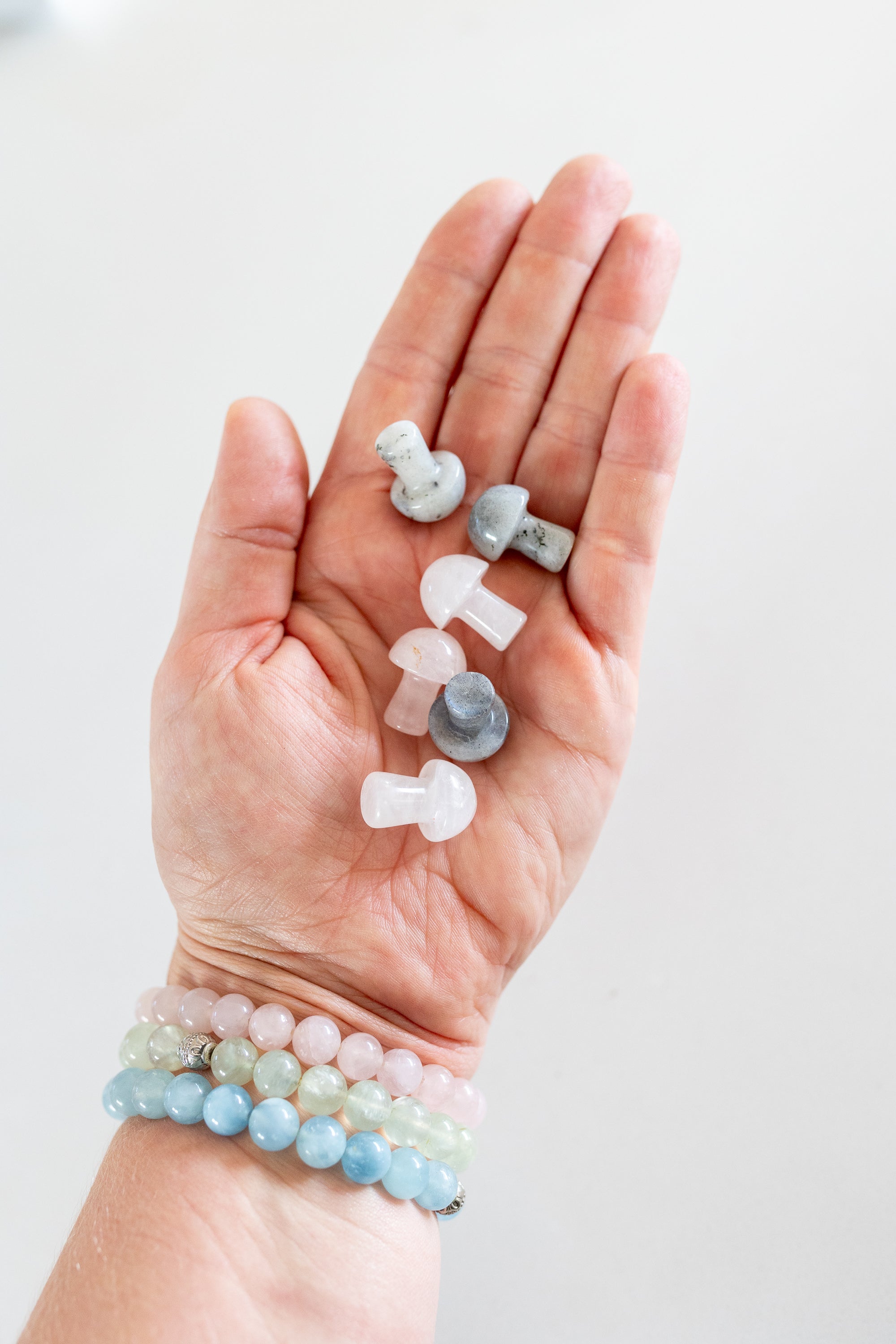 Mini Crystal Mushroom