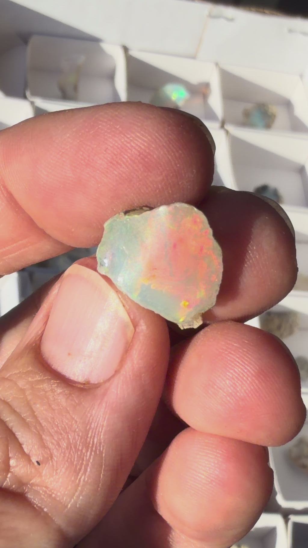 Ethiopian Opal Crystal Piece #31
