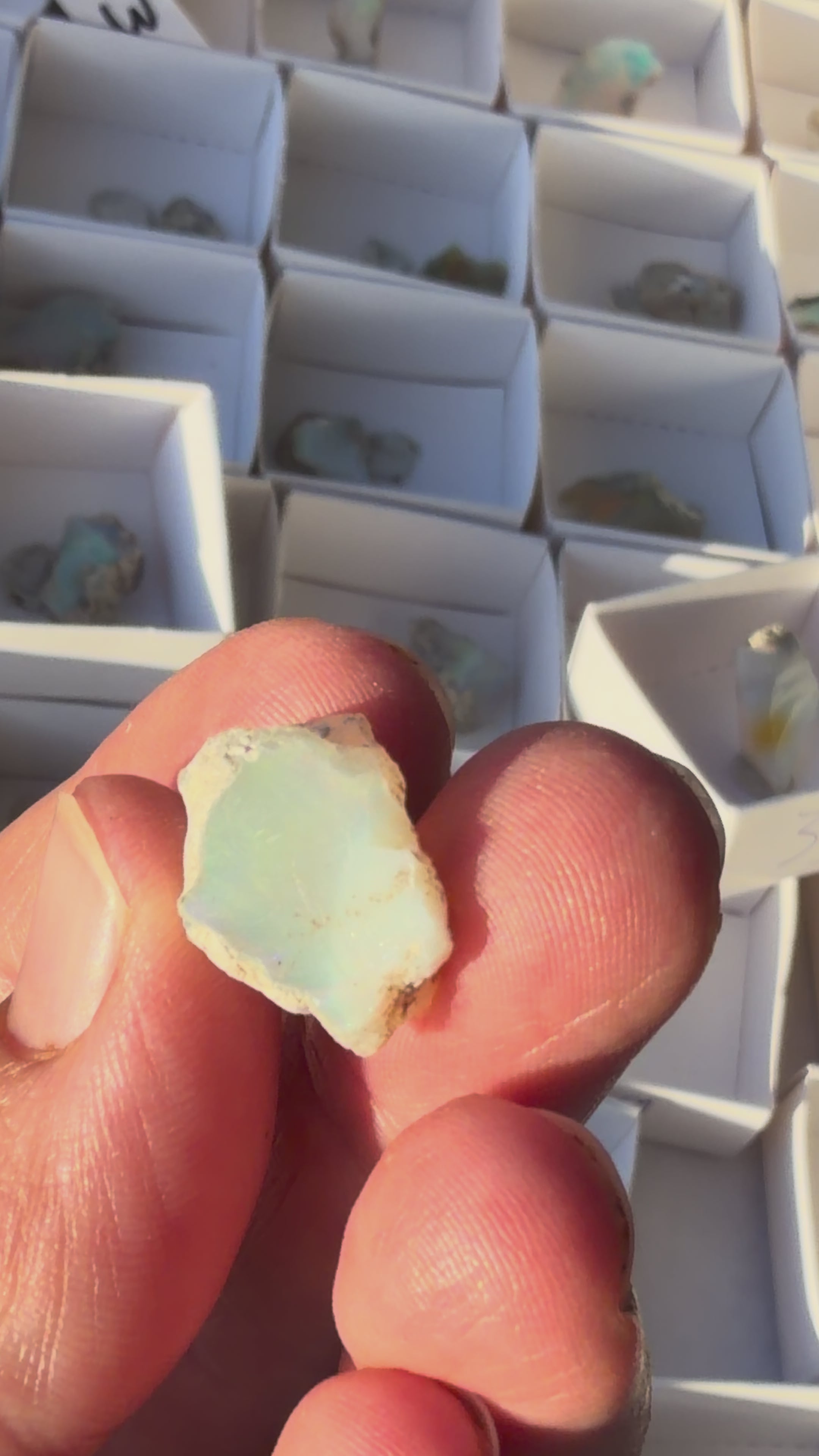 Ethiopian Opal Crystal Piece #52