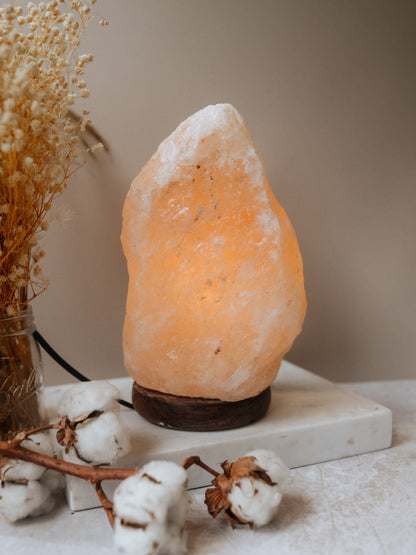 Himalayan Salt Lamp - Knight Inspired